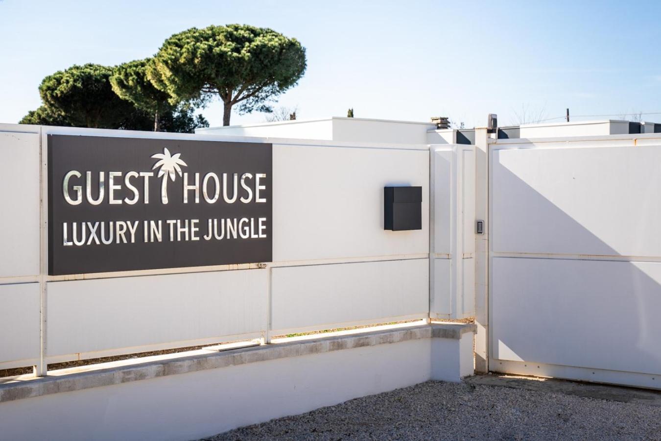 Luxury In The Jungle Villa Formello Kültér fotó